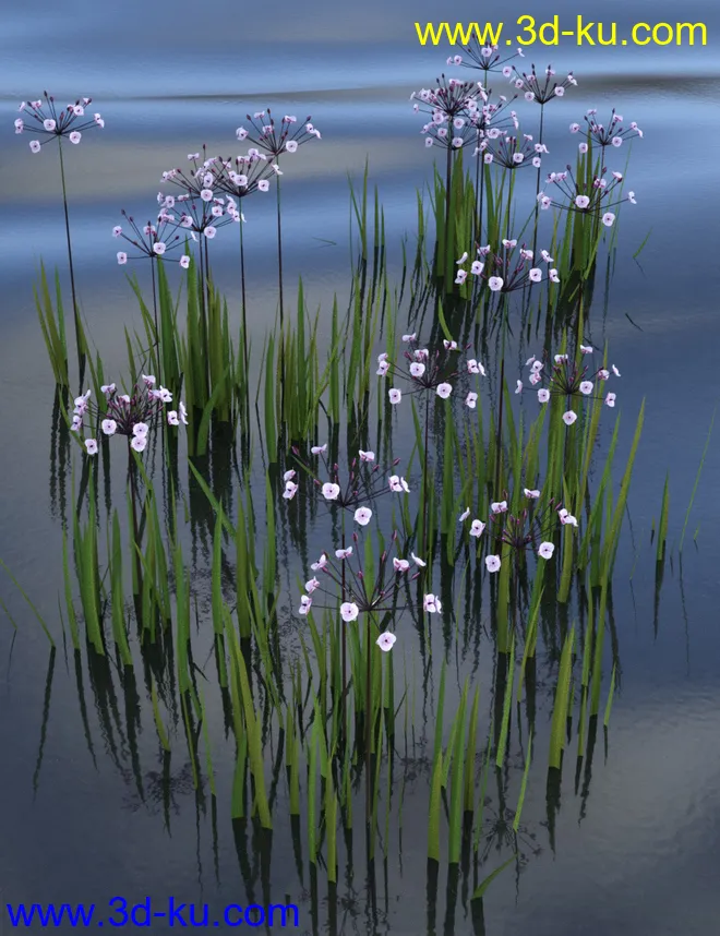 Wild Flowers - Water Plants vol 1模型的图片2
