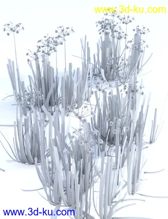 3D打印模型Wild Flowers - Water Plants vol 1的图片