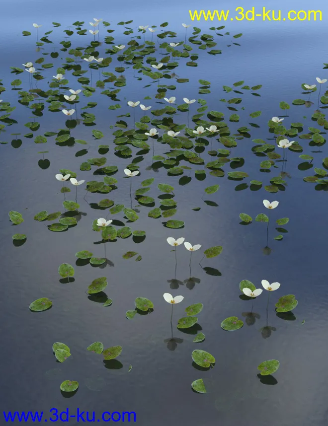 Wild Flowers - Water Plants vol 1模型的图片4