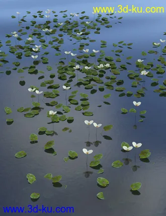 3D打印模型Wild Flowers - Water Plants vol 1的图片