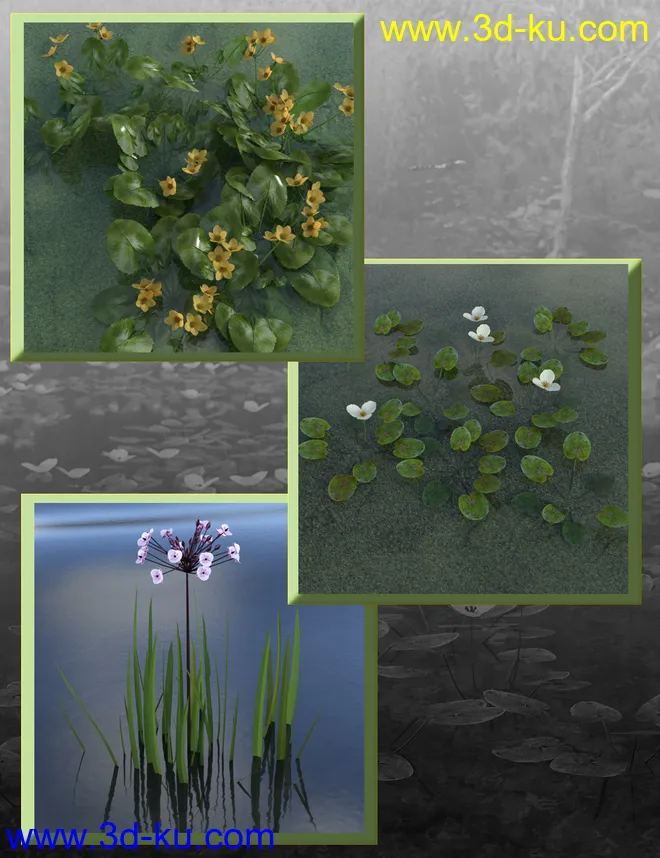 Wild Flowers - Water Plants vol 1模型的图片9