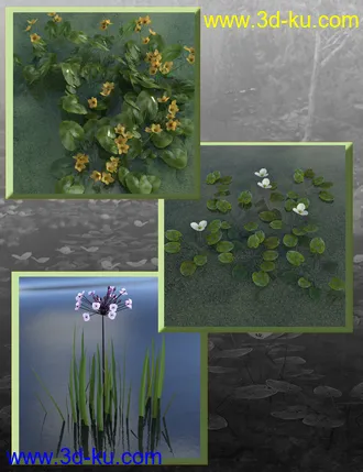 3D打印模型Wild Flowers - Water Plants vol 1的图片