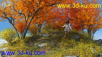 3D打印模型Woods Modules的图片