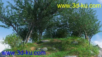 3D打印模型Woods Modules的图片