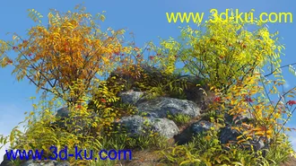 3D打印模型Woods Modules的图片