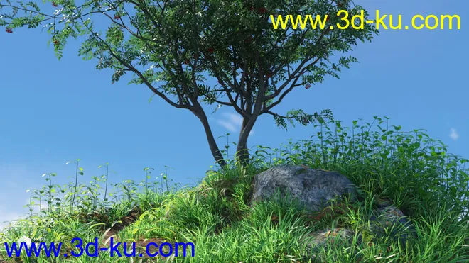 Woods Modules模型的图片6