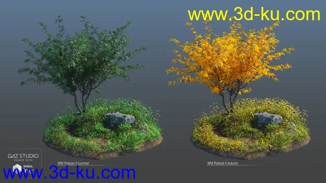 Woods Modules模型的图片13