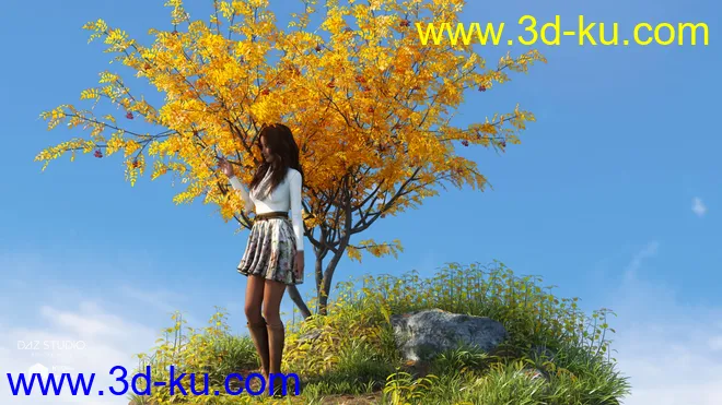 Woods Modules模型的图片15