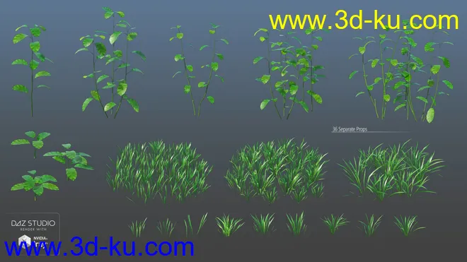 Woods Modules模型的图片16