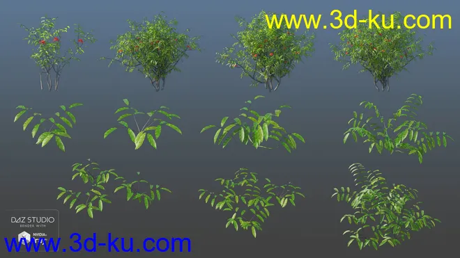 Woods Modules模型的图片17