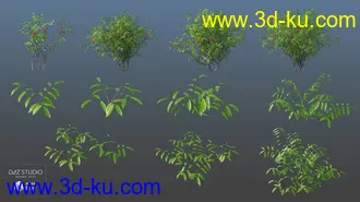 3D打印模型Woods Modules的图片