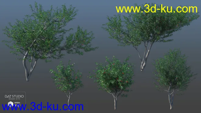Woods Modules模型的图片18