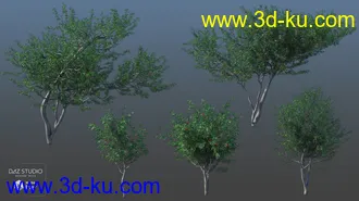 3D打印模型Woods Modules的图片