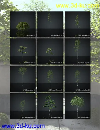3D打印模型World Gardens Japan for Daz Studio的图片