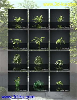 3D打印模型World Gardens Japan for Daz Studio的图片