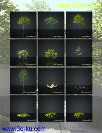 3D打印模型World Gardens Japan for Daz Studio的图片