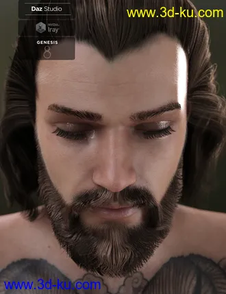 3D打印模型Yussef Hair Beard and Eyebrows for Genesis 8 Male(s)的图片