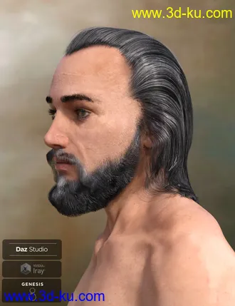 3D打印模型Yussef Hair Beard and Eyebrows for Genesis 8 Male(s)的图片