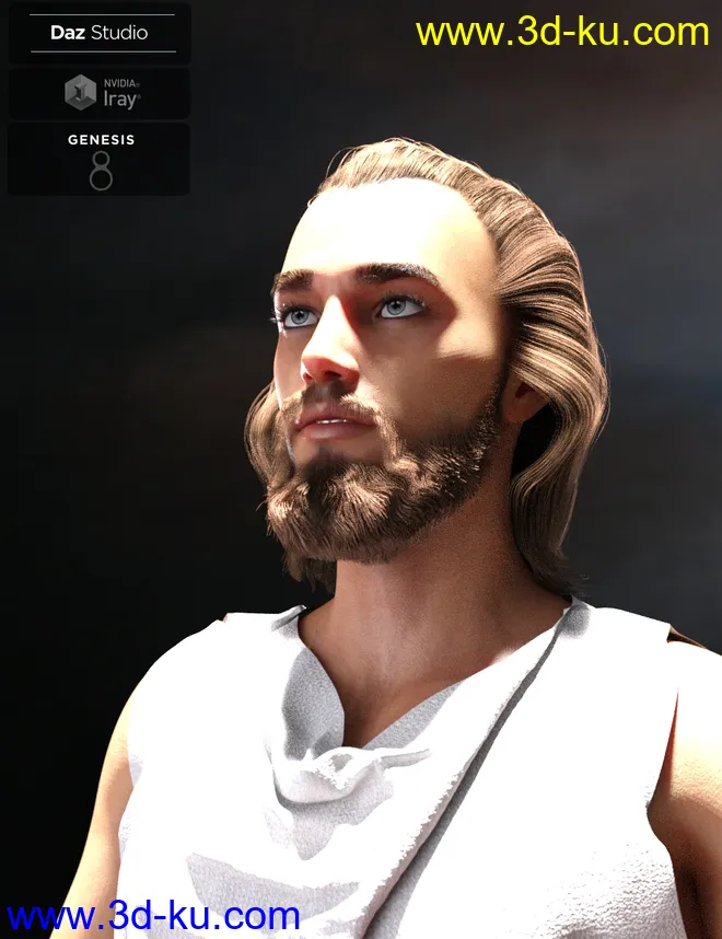Yussef Hair Beard and Eyebrows for Genesis 8 Male(s)模型的图片6
