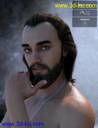 3D打印模型Yussef Hair Beard and Eyebrows for Genesis 8 Male(s)的图片