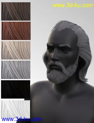 3D打印模型Yussef Hair Beard and Eyebrows for Genesis 8 Male(s)的图片