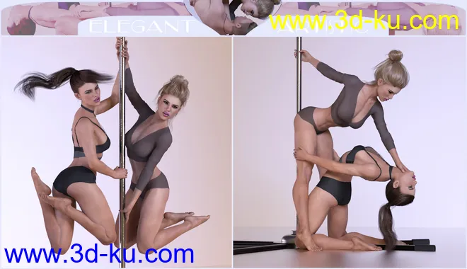 Z Aerial Pole Dance and Poses for Genesis 3 and 8模型的图片4