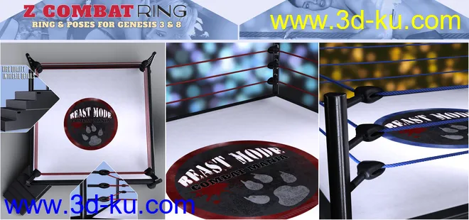 Z Combat Ring and Poses for Genesis 3 and 8模型的图片2
