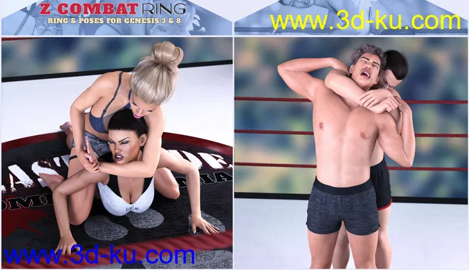 Z Combat Ring and Poses for Genesis 3 and 8模型的图片4