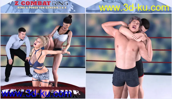 Z Combat Ring and Poses for Genesis 3 and 8模型的图片5