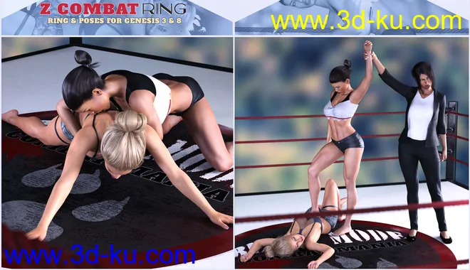 Z Combat Ring and Poses for Genesis 3 and 8模型的图片9
