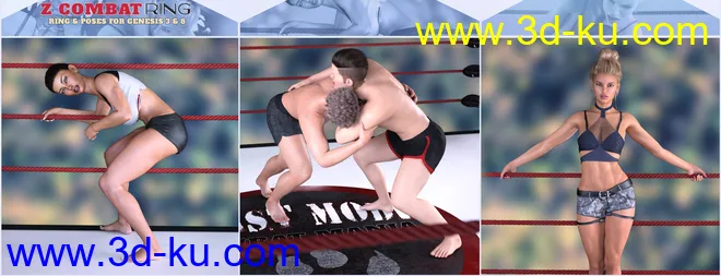 Z Combat Ring and Poses for Genesis 3 and 8模型的图片11