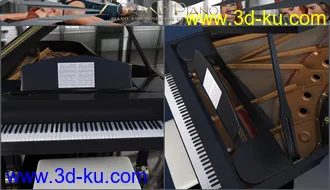 3D打印模型Z Grand Piano and Poses for Genesis 3 and 8的图片