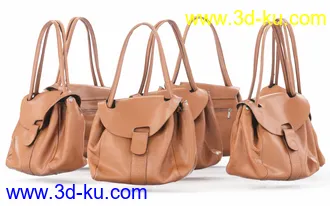 3D打印模型10 Handbags Collection的图片