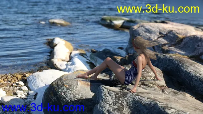 3D Photo Scenes - Swedish Beaches And Rocks模型的图片10