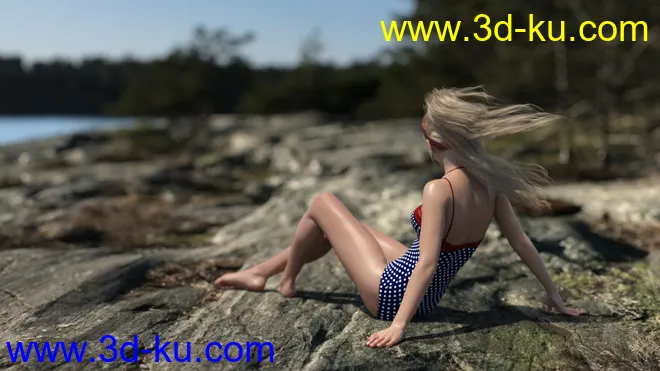 3D Photo Scenes - Swedish Beaches And Rocks模型的图片13