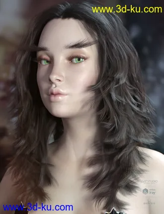 3D打印模型Addison Hair and Brows for Genesis 3 & 8 Female(s)的图片