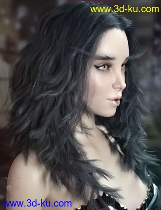 3D打印模型Addison Hair and Brows for Genesis 3 & 8 Female(s)的图片