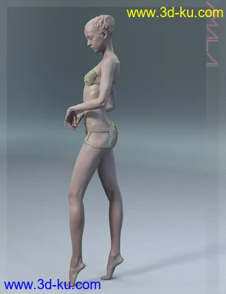 3D打印模型Amala HD & Expression HD & Bikini for Genesis 8 Female的图片