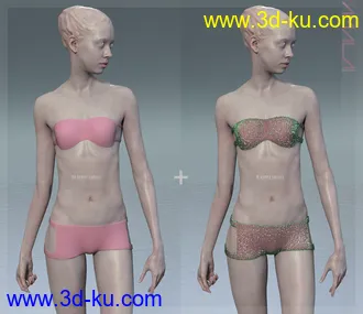 Amala HD & Expression HD & Bikini for Genesis 8 Female模型的图片18