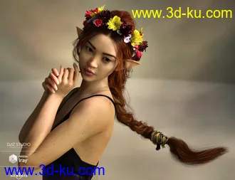 3D打印模型Arion Braid for Genesis 3 and Genesis 8 Female(s)的图片