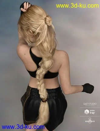3D打印模型Arion Braid for Genesis 3 and Genesis 8 Female(s)的图片