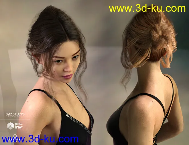 Arion Braid for Genesis 3 and Genesis 8 Female(s)模型的图片5