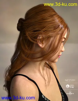 3D打印模型Arion Braid for Genesis 3 and Genesis 8 Female(s)的图片