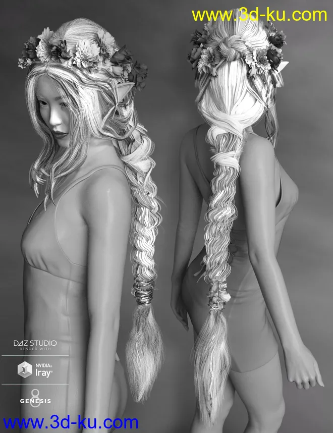 Arion Braid for Genesis 3 and Genesis 8 Female(s)模型的图片14