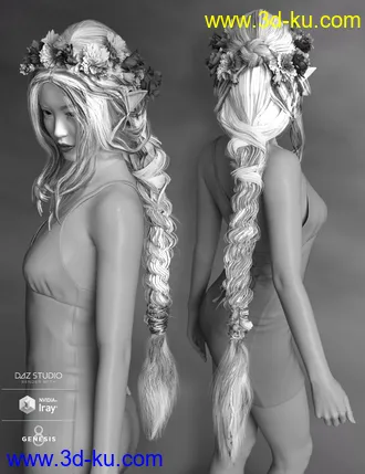 3D打印模型Arion Braid for Genesis 3 and Genesis 8 Female(s)的图片