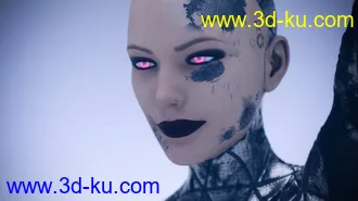 3D打印模型Battleworn Female Bot - Genesis 3 and 8 Female Texture Set的图片