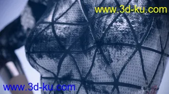 3D打印模型Battleworn Female Bot - Genesis 3 and 8 Female Texture Set的图片