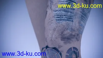 3D打印模型Battleworn Female Bot - Genesis 3 and 8 Female Texture Set的图片