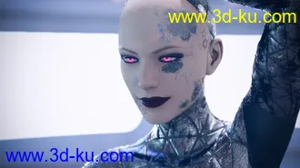 3D打印模型Battleworn Female Bot - Genesis 3 and 8 Female Texture Set的图片
