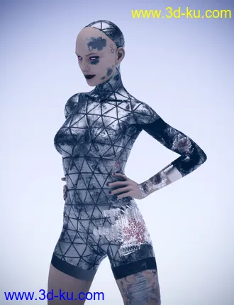 3D打印模型Battleworn Female Bot - Genesis 3 and 8 Female Texture Set的图片